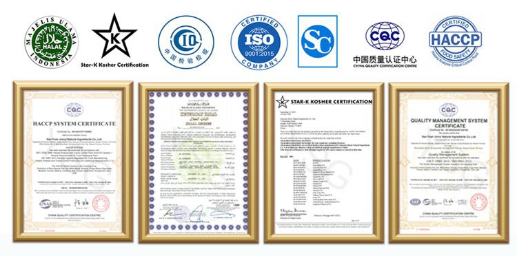 YSG Certificates