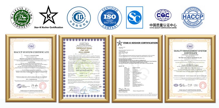 YSG Certificates