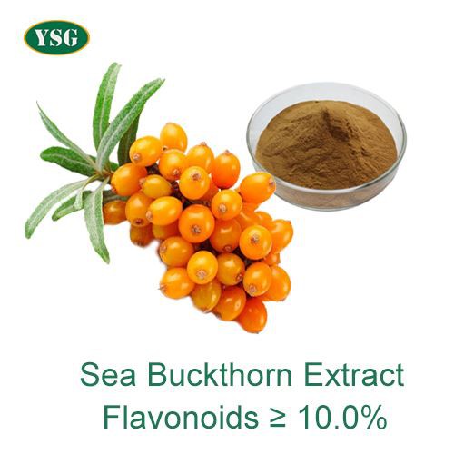 Sea buckthorn ávaxtaþykkni