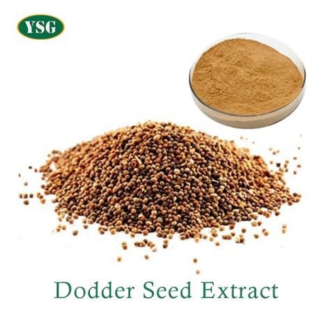 Dodder Seed Extract