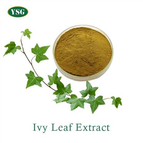 Ivy Leaf Extract Duft