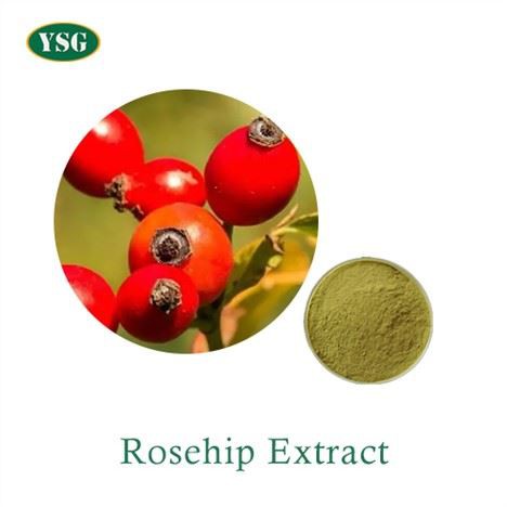 Rosehip útdráttarduft