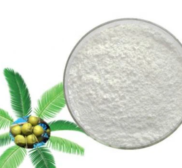 Sá   Palmetto   duft
