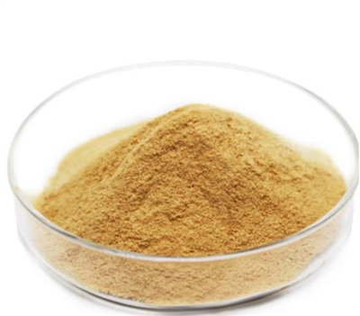 Ume Shiso Powder